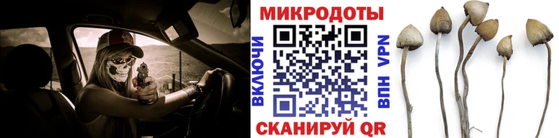 Галлюциногенные грибы мухоморы  Алагир 